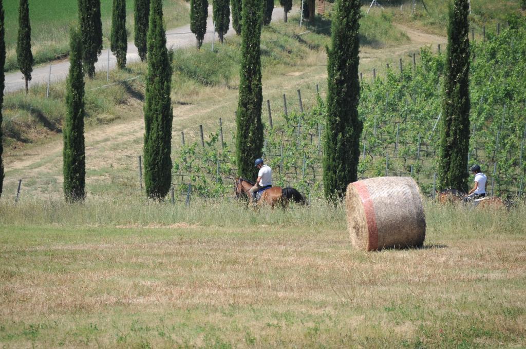 Tenuta Casabianca * Murlo