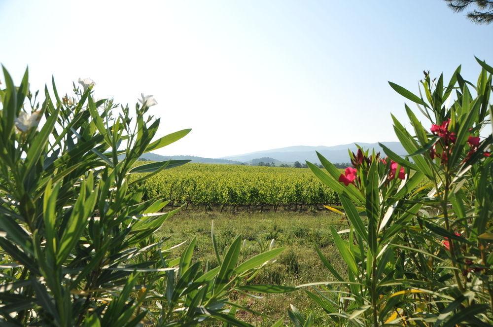 Tenuta Casabianca Vakantieboerderij *
