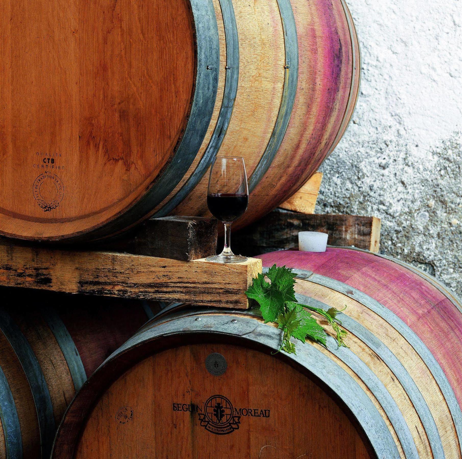 Tenuta Casabianca